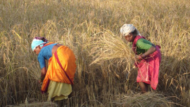 Chhattisgarh framer